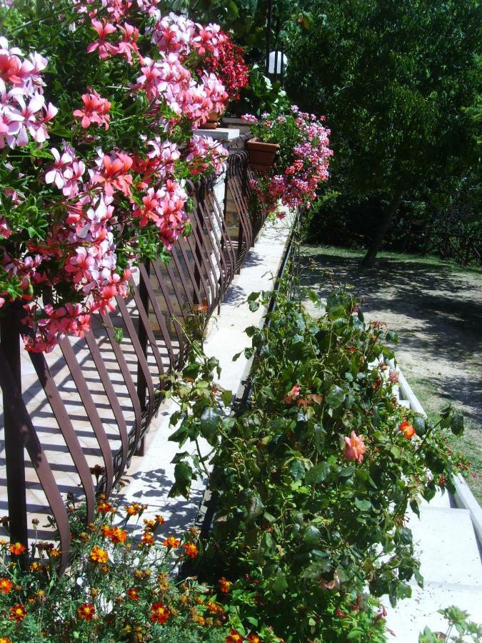 Casa Lieta Bed and Breakfast Subiaco Buitenkant foto